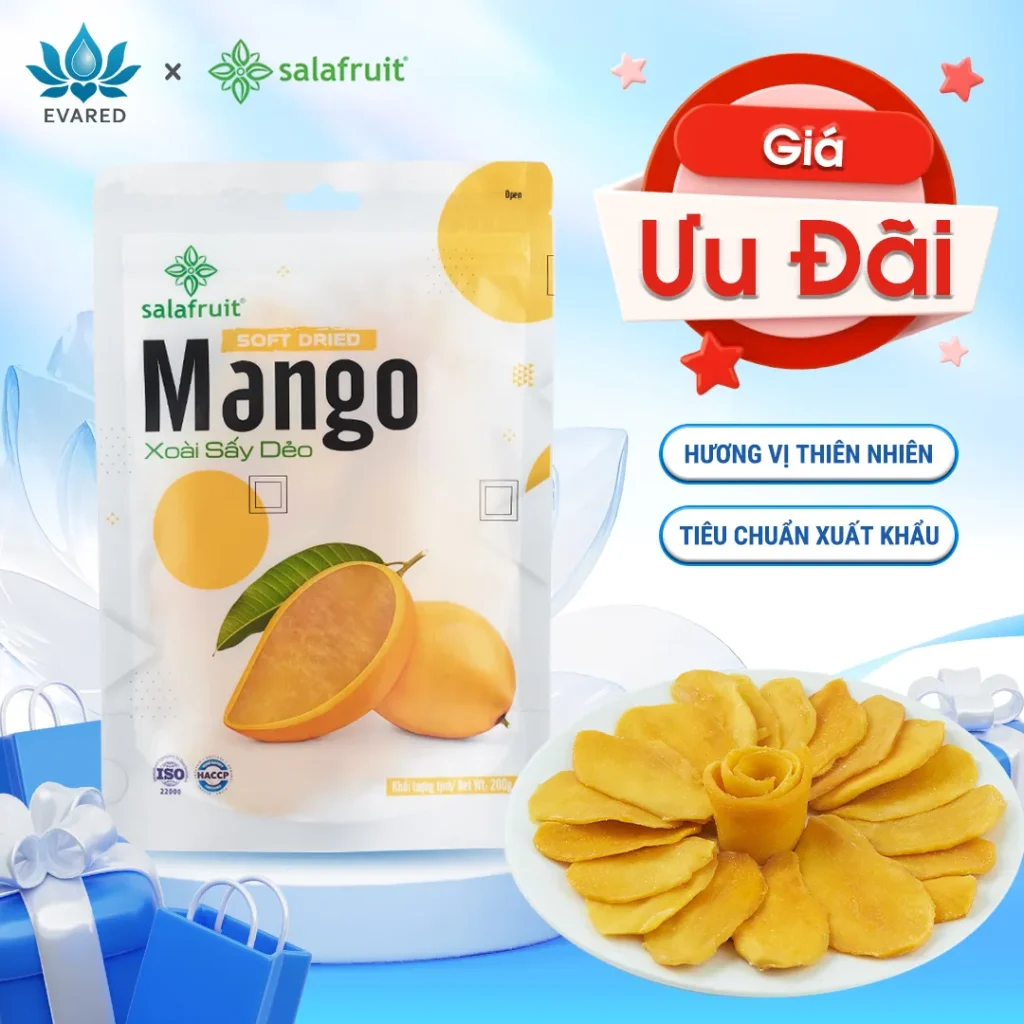 Trái cây sấy dẻo Xoài sấy dẻo Salafruit