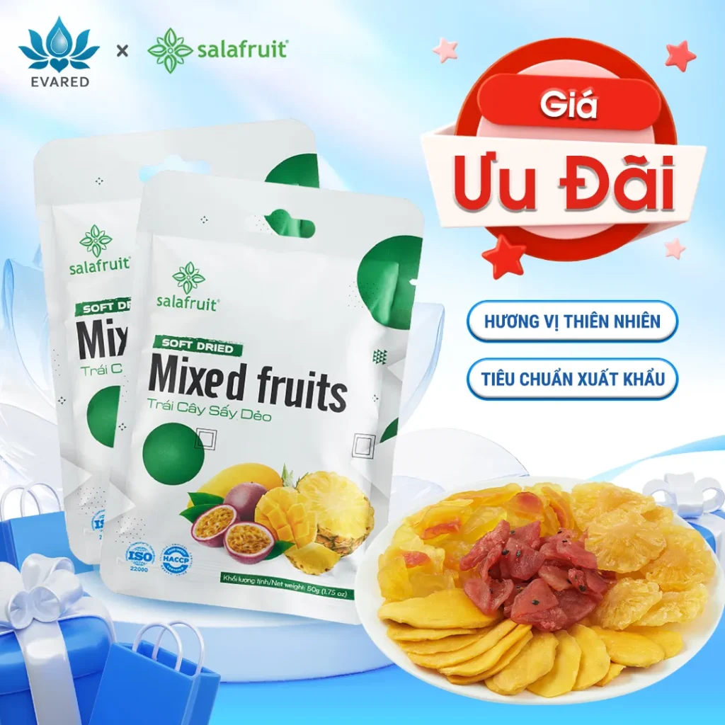 Combo 2 túi trái Cây Sấy Dẻo hỗn hợp Dứa Thơm Xoài Chanh dây Mít Đu đủ Salafruit ăn vặt 50gr