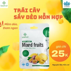 Combo 2 túi trái Cây Sấy Dẻo hỗn hợp Dứa Thơm Xoài Chanh dây Mít Đu đủ Salafruit ăn vặt 50gr