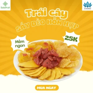Combo 2 túi trái Cây Sấy Dẻo hỗn hợp Dứa Thơm Xoài Chanh dây Mít Đu đủ Salafruit ăn vặt 50gr