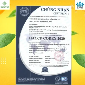 Combo 2 túi trái Cây Sấy Dẻo hỗn hợp Dứa Thơm Xoài Chanh dây Mít Đu đủ Salafruit ăn vặt 50gr